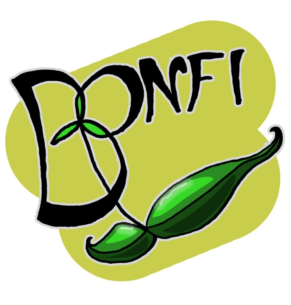 Bonfi Logo 2023